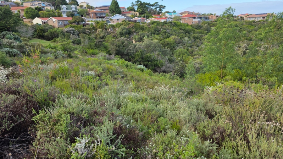  Bedroom Property for Sale in Dana Bay Western Cape